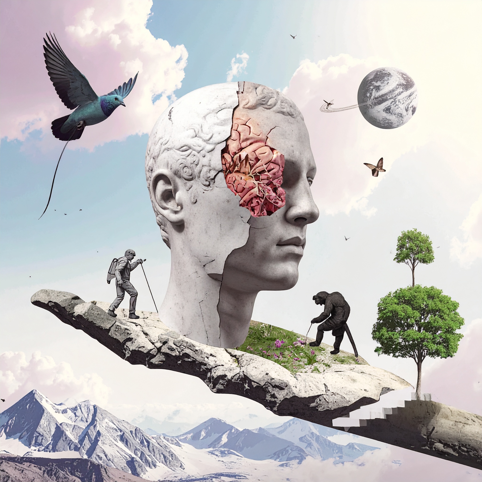 Unità H - EVOLUZIONE